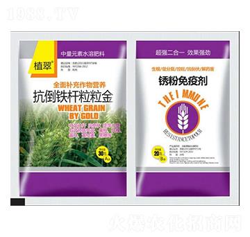 С�������F�U������-�����S