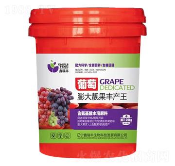 葡萄膨大靚果豐產(chǎn)王-鑫瑞豐