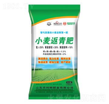 小麥返青肥-丹利特