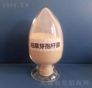 枯草芽孢桿菌（液體）-亮澤生物