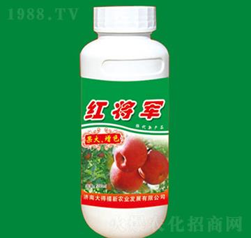 紅將軍-果大增色-大得禧