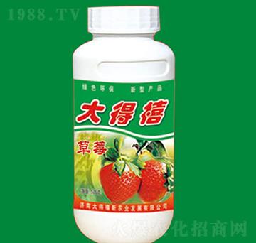 草莓專(zhuān)用肥-大得禧
