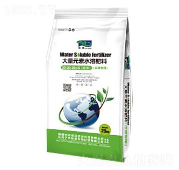 ����Ԫ��ˮ�ܷ���20-20-20+TE�������-���d-���r(n��ng)���h