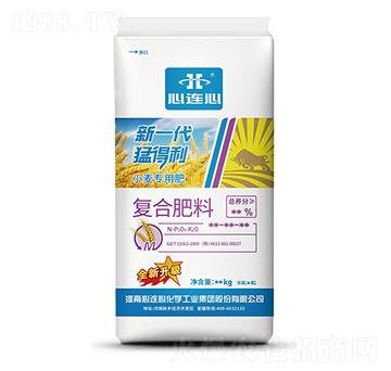 小麥專用復(fù)合肥料-新一代猛得利-心連心