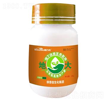 �ش󣨵��K�o��-ʩ����-�G����