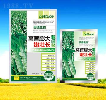 萵苣膨大嫩壯長-美德生物