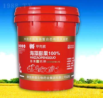 �ך��غ������100%-��������