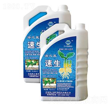 速生根-海之藍(lán)