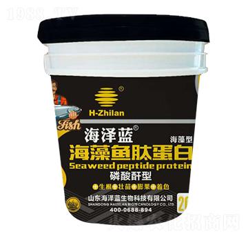 海藻魚肽蛋白-海澤藍-海之藍