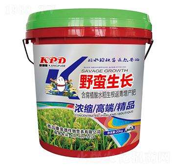 含腐植酸水稻生根返青增產(chǎn)肥-野蠻生長(zhǎng)-康普德