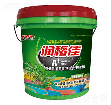 含氨基酸水稻返青專用增產(chǎn)肥-潤(rùn)稻佳-康普德