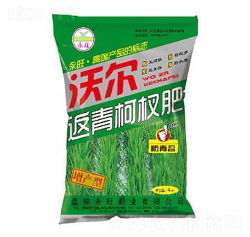 增產(chǎn)型返青柯杈肥-沃爾-永旺肥業(yè)