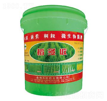 水稻返青柯杈微生物菌肥-稻多收-永旺肥業(yè)