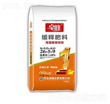 ��������Ч�;�ጷ���2