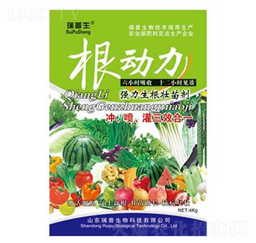 ������-��������