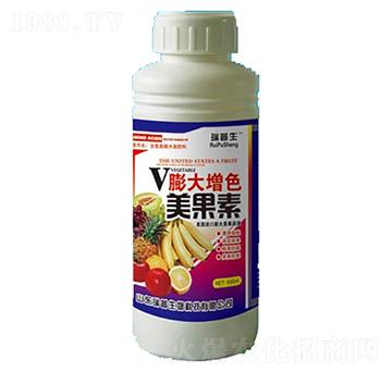 �����ɫ������-��������