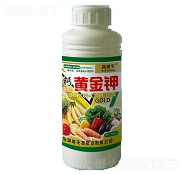 �S���-��������