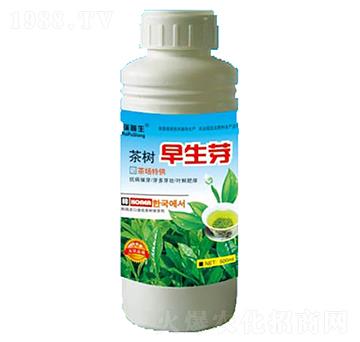 �������ѿ-��������