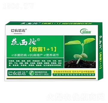 救苗1+1-蔬西施-巴農(nóng)思達(dá)