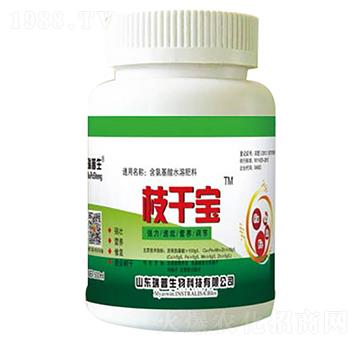 ֦�Ɍ�-��������