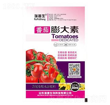 ���������-��������