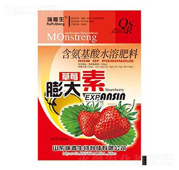 ��ݮ�����-��������