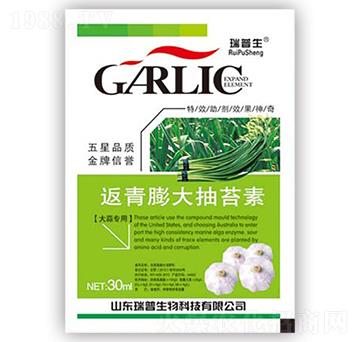 ��������̦��-��������