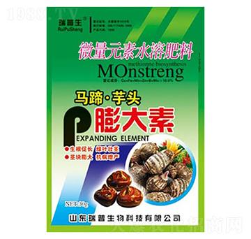 �R�㡤���^�����-��������