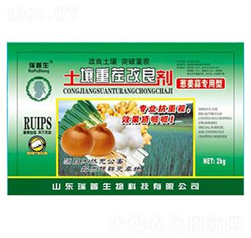 �[���⌣���������ز������-��������