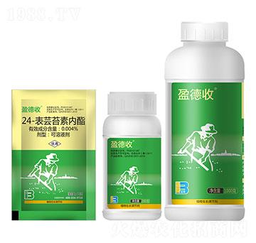 0.004%24-表蕓苔素內(nèi)酯-盈德收-盈輝