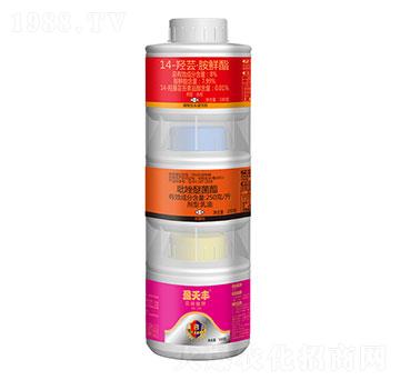 亞磷酸鉀+吡唑醚菌酯+14-羥蕓胺鮮酯-盈天豐-盈輝