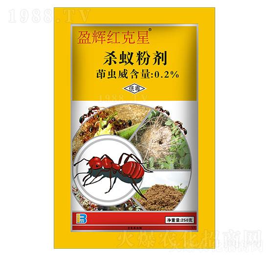 0.2%茚蟲威殺蟻粉劑（250g）-盈輝紅克星-盈輝