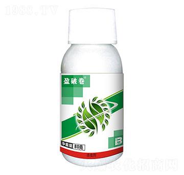 0.5%甲氨基阿維菌素（80g）-盈破卷-盈輝