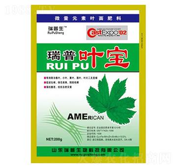 �����~��-��������