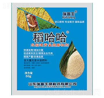 ˮ����������������-������-��������