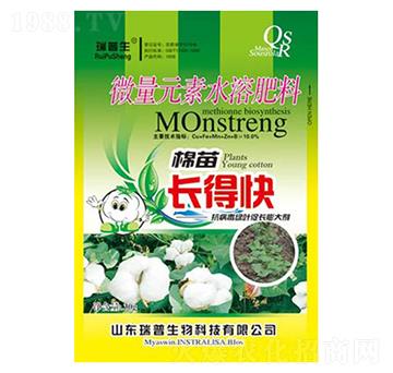 �����L�ÿ�-��������