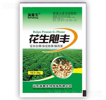 �����Z�S-��������