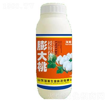 �����-��������