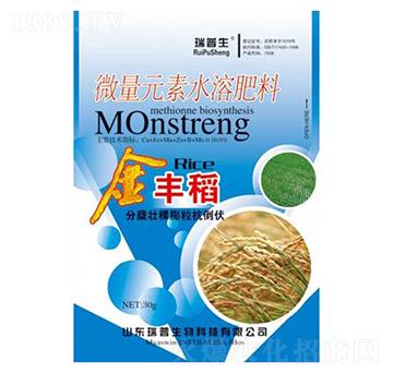 ���S��-��������