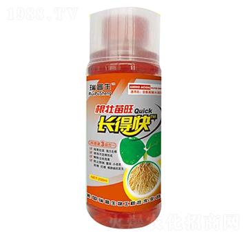 根壯苗旺長(zhǎng)得快-瑞普生物