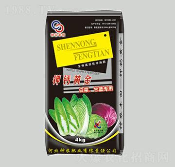 �ײ˸��{(l��n)������}�S��-���r(n��ng)�S��-���r(n��ng)�ʘI(y��)