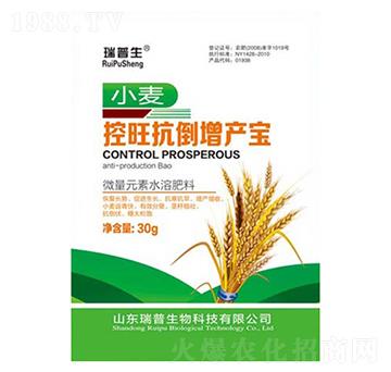 С�������������a(ch��n)��-��������