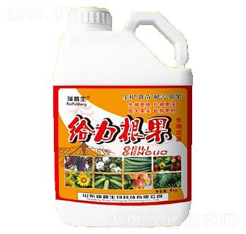 �o������-��������