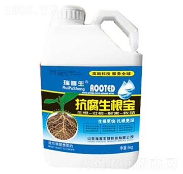 5kg����������-��������