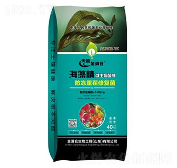 海藻精微生物菌劑-金滿倉