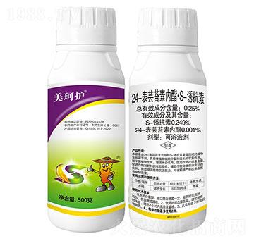 24-���|̦�؃�(n��i)����S-�T����-�����o(h��)��500�ˣ�-���r(n��ng)����