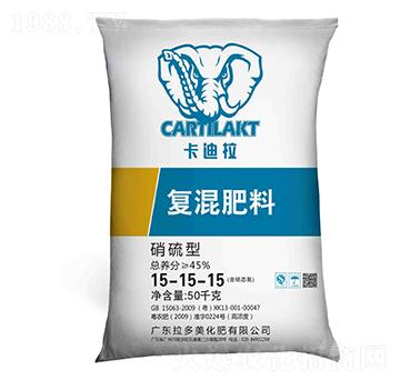 �����͏ͻ����15-15-15-������-������