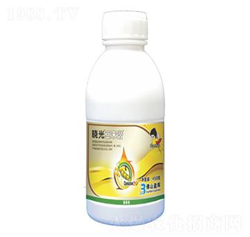 250��ÿ�����ǰ�����+10%��୺��`-�Թⶹ���C-ӯ�x