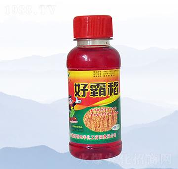 100ml�ðԵ�-���S