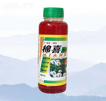 500g��ϲ-���S